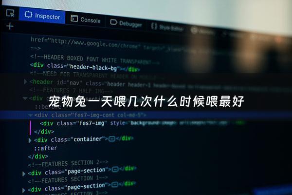 宠物兔一天喂几次什么时候喂最好 - 宠物兔多久喂食一次