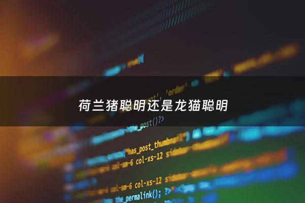 荷兰猪聪明还是龙猫聪明 - 荷兰猪和龙猫能在一起生活吗