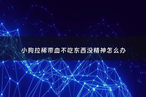小狗拉稀带血不吃东西没精神怎么办 - 小狗拉稀带血不吃东西没精神怎么办呢