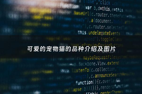 可爱的宠物猫的品种介绍及图片 - 可爱的猫都有什么品种