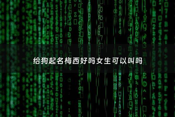 给狗起名梅西好吗女生可以叫吗 - 梅西这个名字的含义