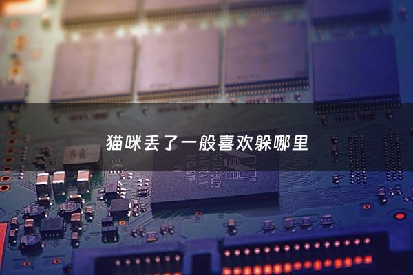 猫咪丢了一般喜欢躲哪里 - 猫咪丢了会想主人吗