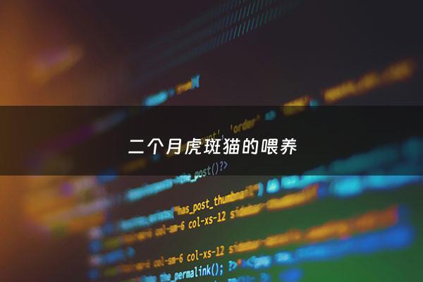 二个月虎斑猫的喂养 - 两个月虎斑猫吃什么