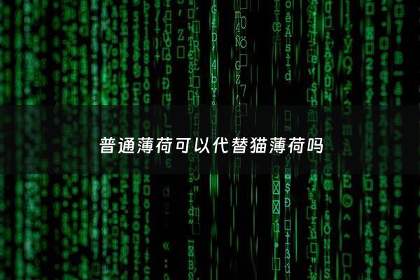 普通薄荷可以代替猫薄荷吗 - 普通薄荷对猫有吸引力吗