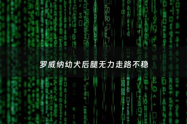 罗威纳幼犬后腿无力走路不稳 - 罗威纳走路无力,两边摆,什么回事