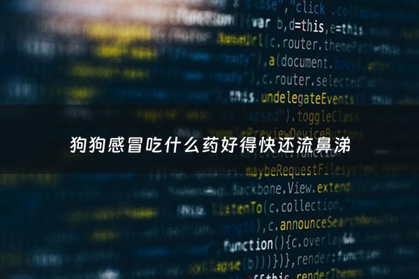 狗狗感冒吃什么药好得快还流鼻涕 - 狗狗感冒一般吃什么药