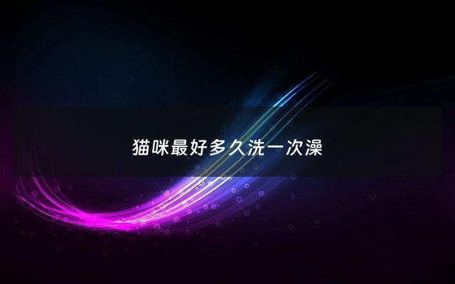 猫咪最好多久洗一次澡 - 猫咪应该多久洗一次澡