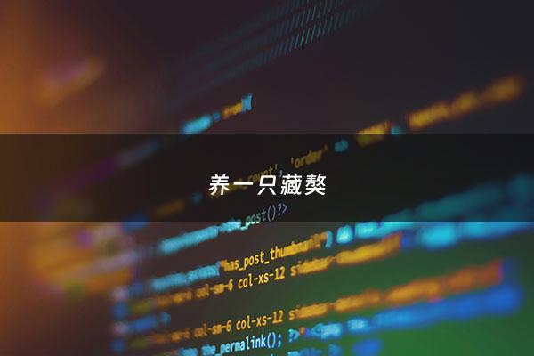 养一只藏獒 - 养一只藏獒一个月要***
