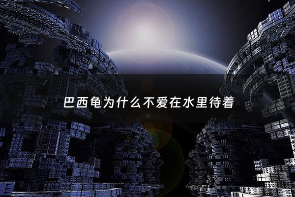 巴西龟为什么不爱在水里待着 - 巴西龟为什么不愿在水里