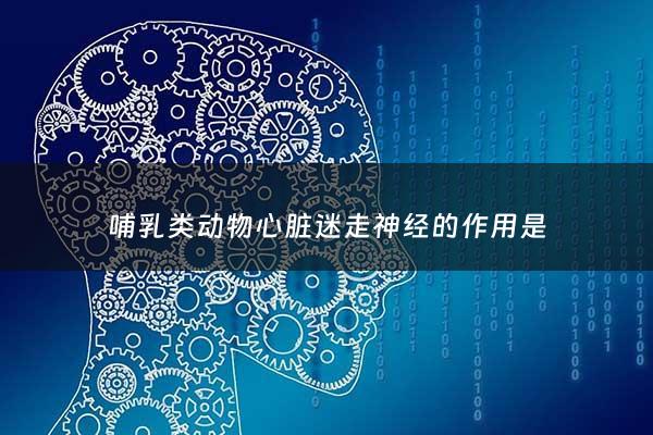 哺乳类动物心脏迷走神经的作用是 - 哺乳动物心脏的特点