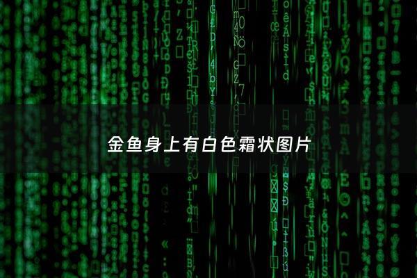 金鱼身上有白色霜状图片 - 金鱼身上有白色霜状图片怎么回事