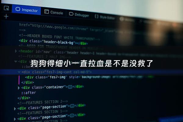 狗狗得细小一直拉血是不是没救了 - 狗狗得了细小拉血便了还能治好吗