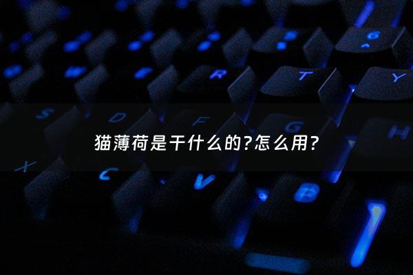 猫薄荷是干什么的?怎么用? - 猫薄荷是起什么作用