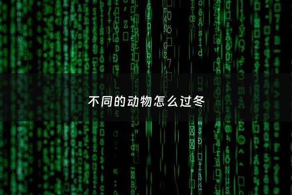 不同的动物怎么过冬 - 不同的动物怎么过冬的