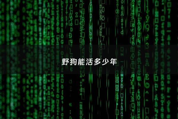 野狗能活多少年 - 野狗有多厉害