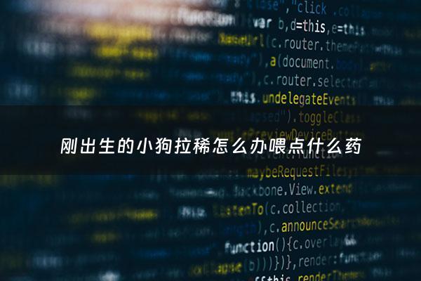 刚出生的小狗拉稀怎么办喂点什么药 - 刚出生的小狗拉稀是怎么回事