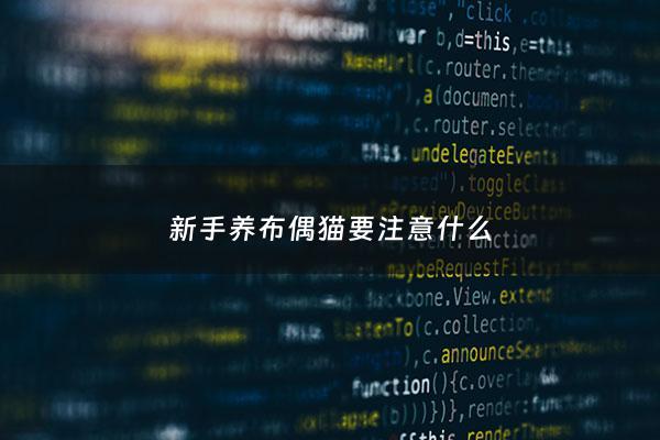 新手养布偶猫要注意什么 - 新手布偶猫幼猫容易养活吗