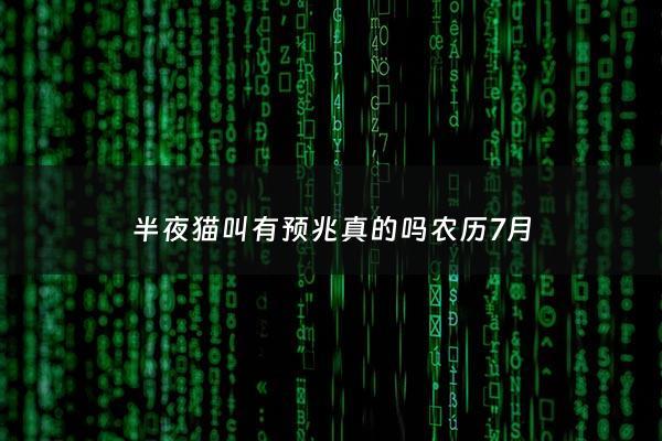 半夜猫叫有预兆真的吗***7月 - 半夜猫叫不吉利