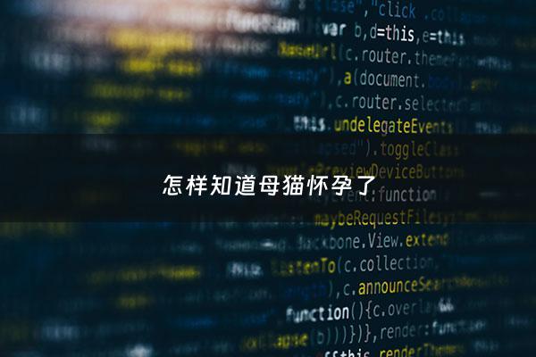 怎样知道母猫怀孕了 - 如何知道母猫是否怀孕