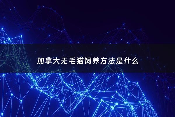 加拿大无毛猫饲养***是什么 - 加拿大无毛猫为何没有毛