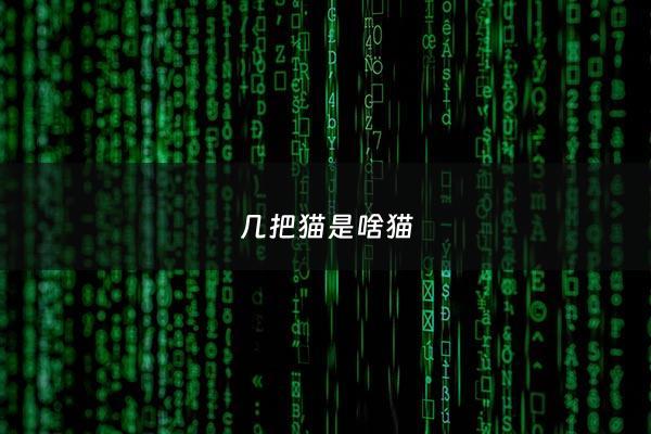 几把猫是啥猫 - 我几把猫