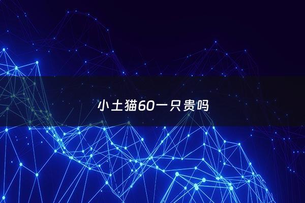 小土猫60一只贵吗 - 小土猫能卖***
