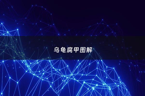 乌龟腐甲图解 - 乌龟腐甲有什么症状