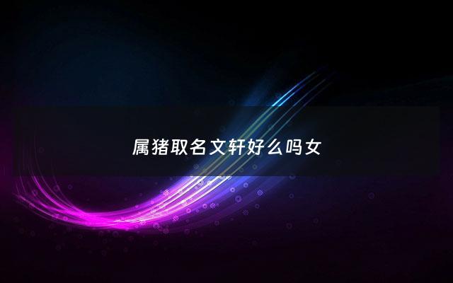 属猪取名文轩好么吗女 - 属猪后面带轩字的男孩名字