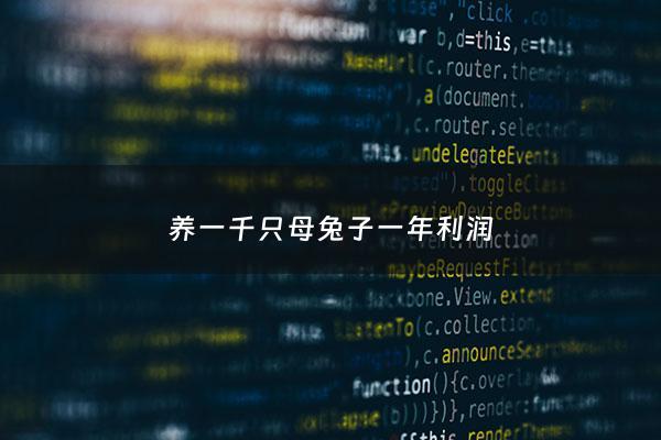 养一千只母兔子一年利润 - 养1000只兔子的成本和利润
