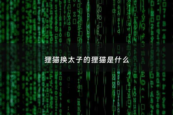 狸猫换太子的狸猫是什么 - 狸猫换太子的狸猫长什么样