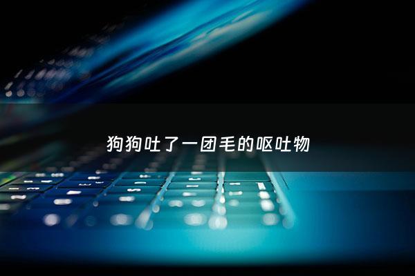 狗狗吐了一团毛的呕吐物 - 狗狗吐出来毛怎么办