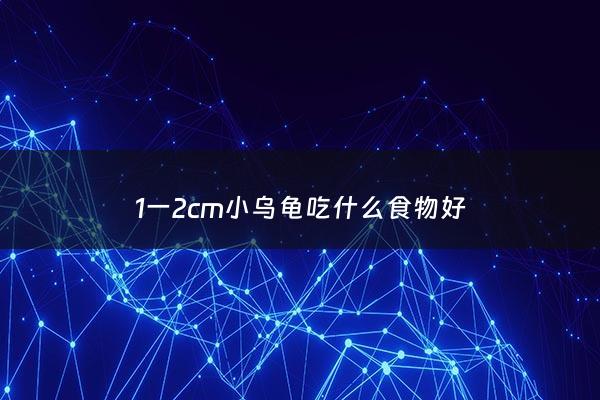 1一2cm小乌龟吃什么食物好 - 一厘米的小乌龟吃什么