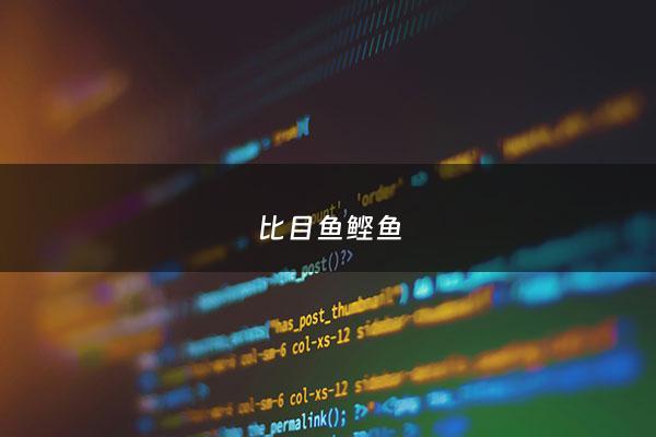 比目鱼鲣鱼 - 比目鱼 鳐鱼