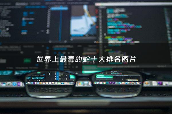 世界上最毒的蛇十大排名图片 - 世界上最毒的蛇十大排名榜