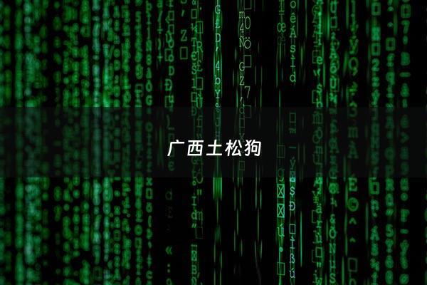 广西土松狗 - 广西土松狗图片大全大图