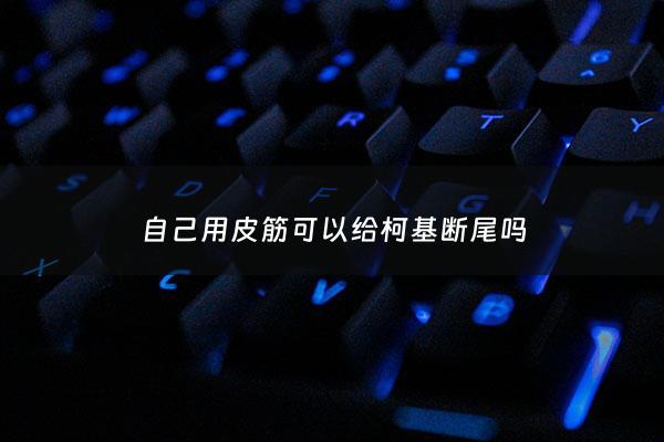 自己用皮筋可以给柯基断尾吗 - 柯基断尾皮筋要扎多紧