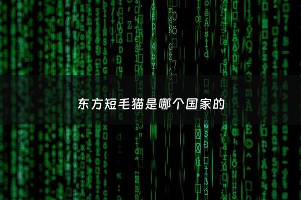 东方短毛猫是哪个***的 - 东方短毛猫好不好养