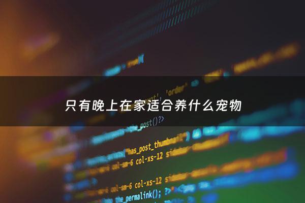 只有晚上在家适合养什么宠物 - 只有晚上在家适合养什么狗