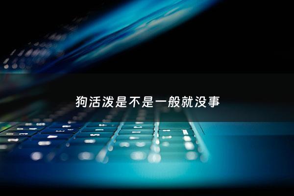 狗活泼是不是一般就没事 - 狗过度活泼