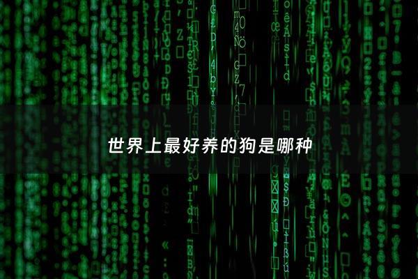 世界上最好养的狗是哪种 - 世界上最好养的宠物是什么宠物