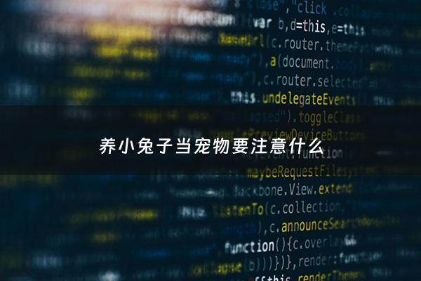 养小兔子当宠物要注意什么 - 养小兔子需要什么?