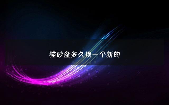 猫砂盆多久换一个新的 - 猫砂盆几天一换