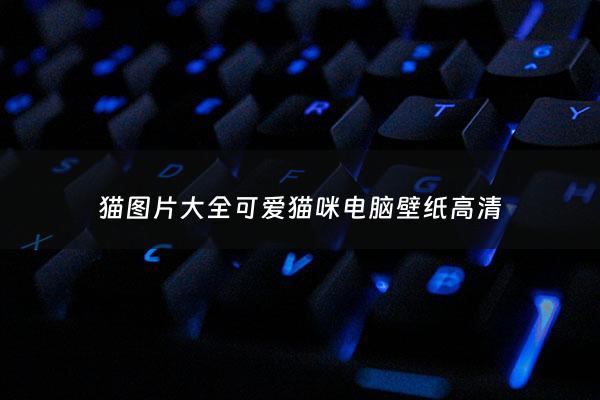 猫图片大全可爱猫咪电脑壁纸高清 - 猫图片可爱唯美图片***壁纸