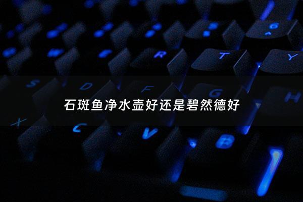 石斑鱼净水壶好还是碧然德好 - 石斑鱼净水壶怎么样