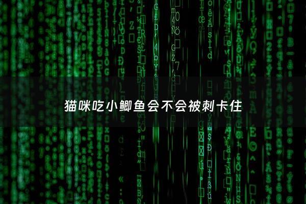 猫咪吃小鲫鱼会不会被刺卡住 - 猫吃河鲫鱼