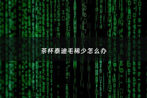 茶杯泰迪毛稀少怎么办 - 茶杯泰迪需要剃胎毛吗
