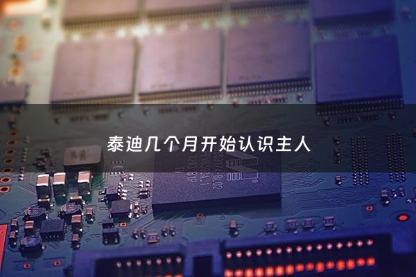 泰迪几个月开始认识主人 - 泰迪几个月开始认主人总是叫怎么办