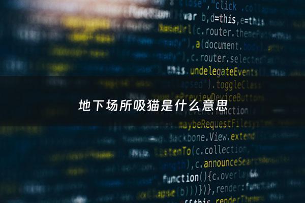 地下场所吸猫是什么意思 - 地下吸兔场所