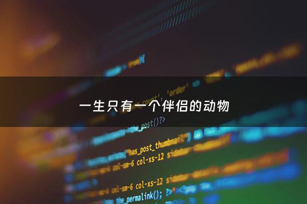 一生只有一个伴侣的动物 - 一生只有一个伴侣的鸟是什么鸟