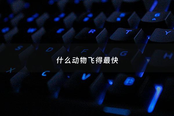 什么动物飞得最快 - 飞得最快的动物前四名